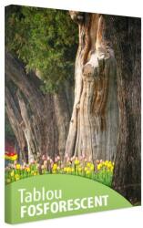 Tablou fosforescent Lalele si copaci batrani 60 cm x 40 cm