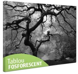 Tablou canvas fosforescent Artar alb-negru 60 cm x 40 cm