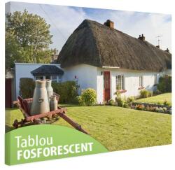  Tablou fosforescent Casa traditionala in Irlanda 30 cm x 20 cm