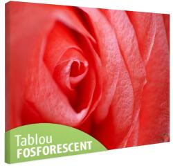  Tablou fosforescent Trandafir in detaliu 30 cm x 20 cm