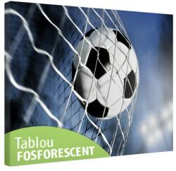  Tablou fosforescent Fotbal 20 cm x 30 cm