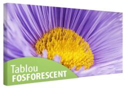 Tablou fosforescent Floare macro 120 cm x 52 cm