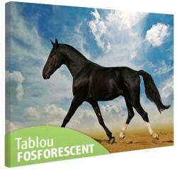  Tablou fosforescent Cal negru in desert 120 cm x 80 cm