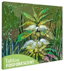 Tablou fosforescent Floare de camp 40 cm x 40 cm