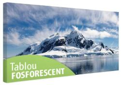 Tablou fosforescent Antarctica 80cm x 40 cm