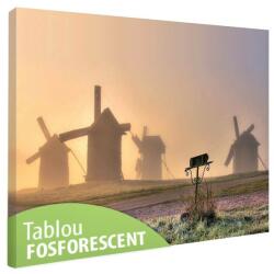 Tablou fosforescent Mori de vant 60 cm x 40 cm