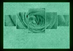 Set tablou fosforescent Trandafir culoarea piersicii