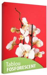 Tablou fosforescent Orhidee pe fond rosu 30 cm x 20 cm