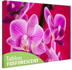  Tablou fosforescent Orhidee violet 30 cm x 20 cm
