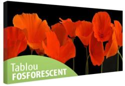 Tablou fosforescent Maci portocalii 90 cm x 30 cm