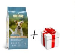 DIVINUS Adult mini pentru rase mici 10kg +surpriză pentru câinele tău