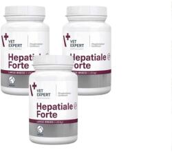 VetExpert Hepatiale Forte Mare Rasa 3x40 Tablete