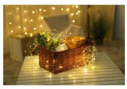 Modee LED karácsonyi füzér 100LED/10m réz kültéri 10db/m fehér-fényű 220-240V AC 2500K IP44 Modee (ML-C2007)