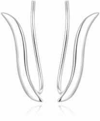 Beneto Ezüst fülbevaló AGUV2291