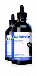 Kaminox 60 ml