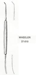 Raydent Instruments Spatula dubla Wheeler (37-510)