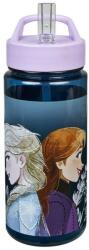 KARTON P+P Sticlă apă pentru fete, 500ml - Frozen, Elsa si Anna
