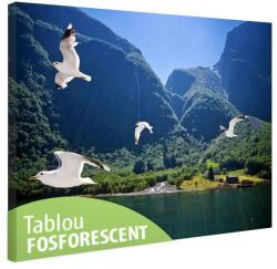 Tablou fosforescent Fiord 30 cm x 20 cm