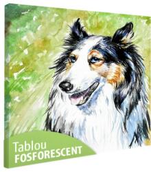  Tablou fosforescent Collie 40 cm x 40 cm