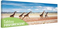  Tablou fosforescent Girafe alergand 90 cm x 30 cm