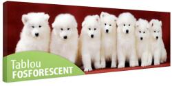 Tablou fosforescent Familia de catelusi Samoyed 60 cm x 20 cm