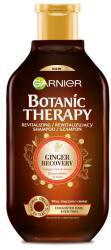 Garnier Șampon pentru păr deteriorat - Garnier Botanic Therapy 400 ml