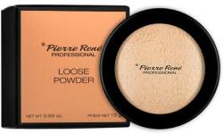 Pierre Rene Pudră de față - Pierre Rene Professional Loose Powder 03 - Transparent
