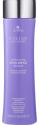 Alterna Haircare Șampon pentru regenerarea părului - Alterna Caviar Anti-Aging Restructuring Bond Repair Shampoo 250 ml