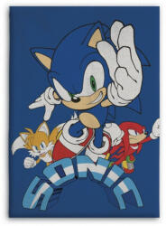  Sonic a sündisznó Coin Chase polár takaró 100x140cm (AYM071740) - mesesajandek