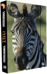 KARTON P+P A4-es füzettartó box JumboZebra II (8-76923)