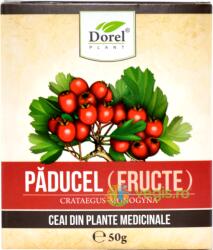Dorel Plant Paducel fructe 50 g