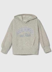 Abercrombie & Fitch bluza copii culoarea gri, cu glugă, cu imprimeu 9BYX-BLG0BM_90X