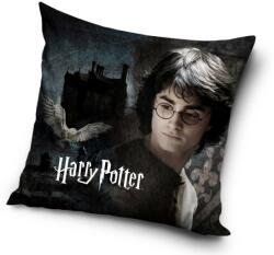 Harry Potter párna, díszpárna 40*40 cm (CBX459368) - mesesajandek