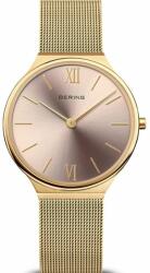 Bering 18434-336