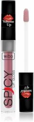 WIBO Lip Gloss Spicy luciu de buze pentru un volum suplimentar 20 3 ml