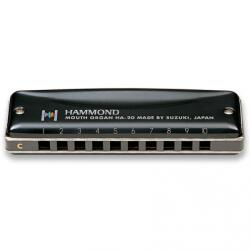 Suzuki Hammond A