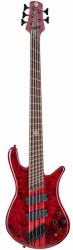 Spector NS Dimension MS 5 Inferno Red Gloss - arkadiahangszer