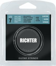 Richter Ion Coated Electric Guitar Strings 7 - 010-060