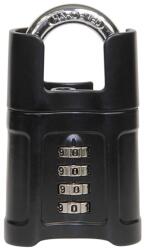 Richter Czech s. r. o RV. 25011 kódos lakat, fekete
