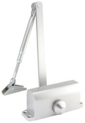 Richter Czech s. r. o Ajtócsukó RZ. 202, ezüst