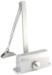 Richter Czech s. r. o Ajtócsukó RZ. 202 - zárral, ezüst