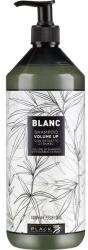 Black Professional Șampon pentru volum - Black Professional Line Blanc Volume Up Shampoo 1000 ml