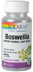  Boswellia 450 mg Solaray, Secom, 30 capsule vegetale