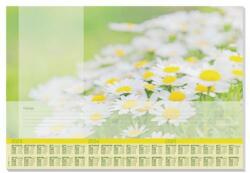 Sigel Könyökalátét, 595x410 mm, 3 éves tervezővel, SIGEL Lovely Daisies