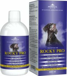 Arthrocol Arthrocol Rocky Pro ízületvédő folyadék kutyáknak 300ml