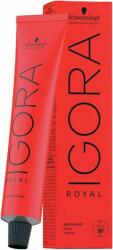 Schwarzkopf Professional - Igora Royal Hajfesték 3-22 60 ml