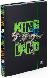 KARTON P+P Dinoszaurusz füzetbox A/4, King of the Land