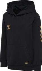 Hummel hmlE24C COTTON HOODIE KIDS Kapucnis melegítő felsők 226372-2128 Méret 116 - weplayvolleyball