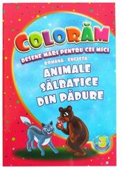  Carte de colorat educativa: animale salbatice din padure, B5 16 pagini Eurobook (CARCOL65) Carte de colorat
