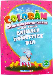 Carte de colorat educativa: animale domestice pui, B5 16 pagini Eurobookids (CARCOL54)